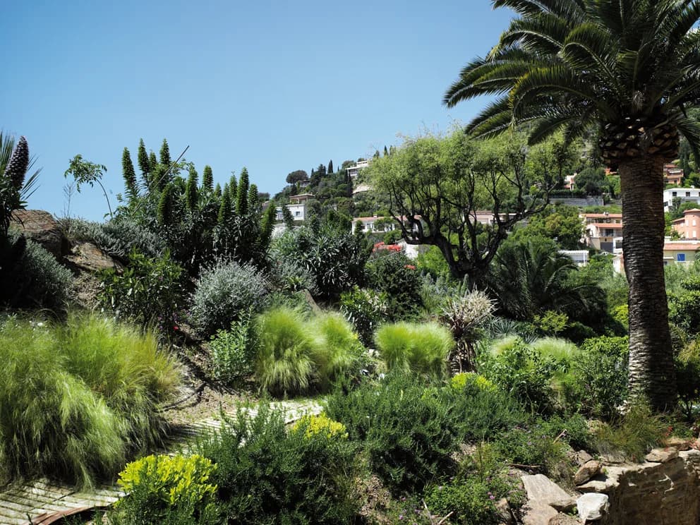 Jardin Méditerranéen